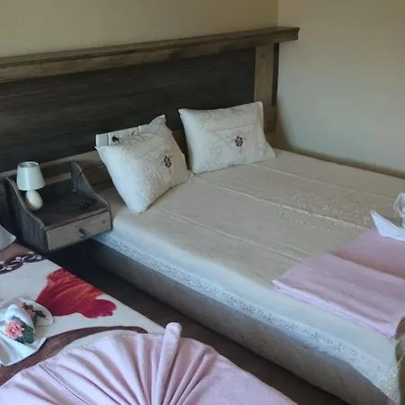 ホテル Wallabies Aquaduct セルチュク