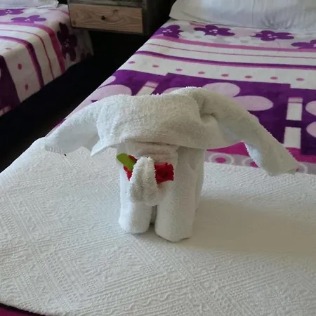 Wallabies Aquaduct Hotell Selçuk