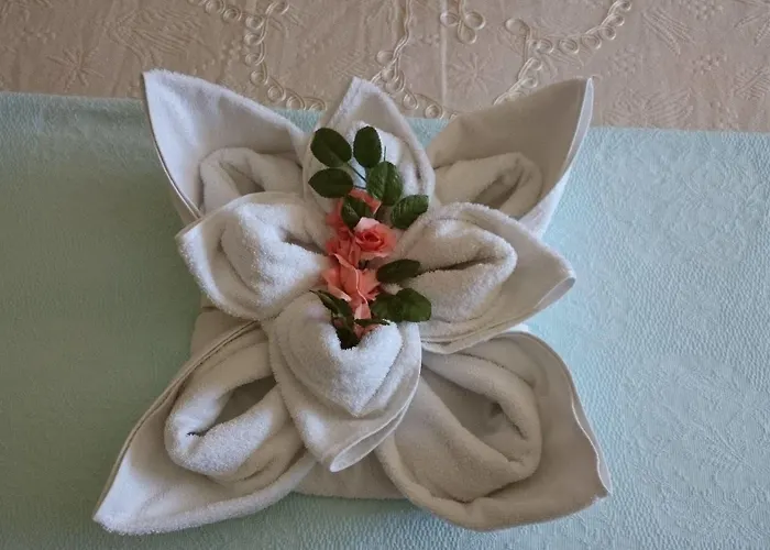 Wallabies Aquaduct Selcuk