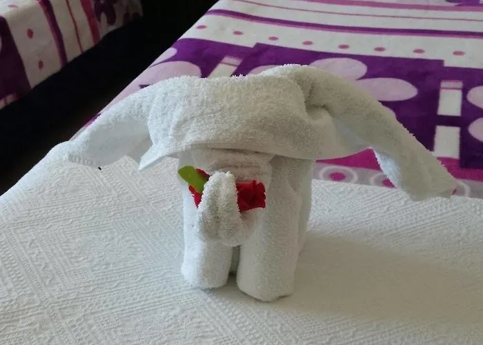 Wallabies Aquaduct 호텔 셀주크