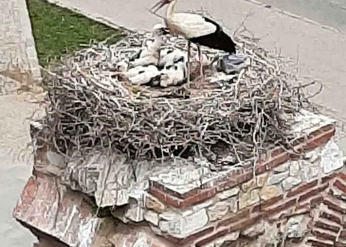 Wallabies Aquaduct 호텔 셀주크